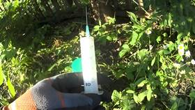 Чем вывести дерево в Лазурит