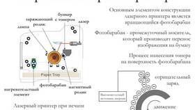 Для чего используют принтер: основные сферы применения в Лазурит