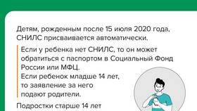 Для чего работодателю нужен СНИЛС сотрудника в Лазурит
