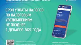 Как оплатить налоги с мобильного телефона в Лазурит