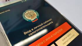 Как получить справку 2-НДФЛ через портал Госуслуги в Лазурит
