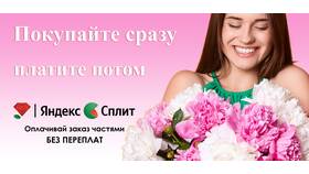 Как посмотреть списания Яндекс Сплит в Лазурит