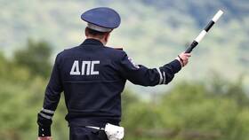 Как проверить по постановлению, за что выписан штраф? в Лазурит