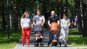 Как проверить выплаты по беременности и родам в Лазурит