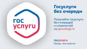 Как сделать выгрузку данных с портала Госуслуг в Лазурит