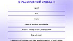 На что идет подоходный налог с зарплаты в Лазурит