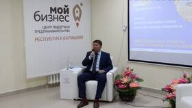 Почему ИП регистрируются в Калмыкии в Лазурит