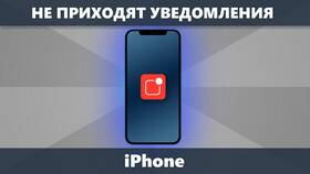 Почему не приходят уведомления на iPhone 13 в Лазурит