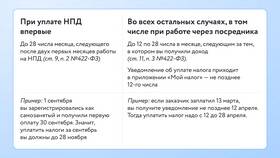 Регистрация ИП на НПД для самозанятых в 2025 году в Лазурит