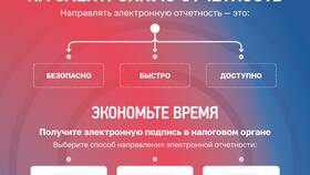 Счет от ФНС: что это в Лазурит